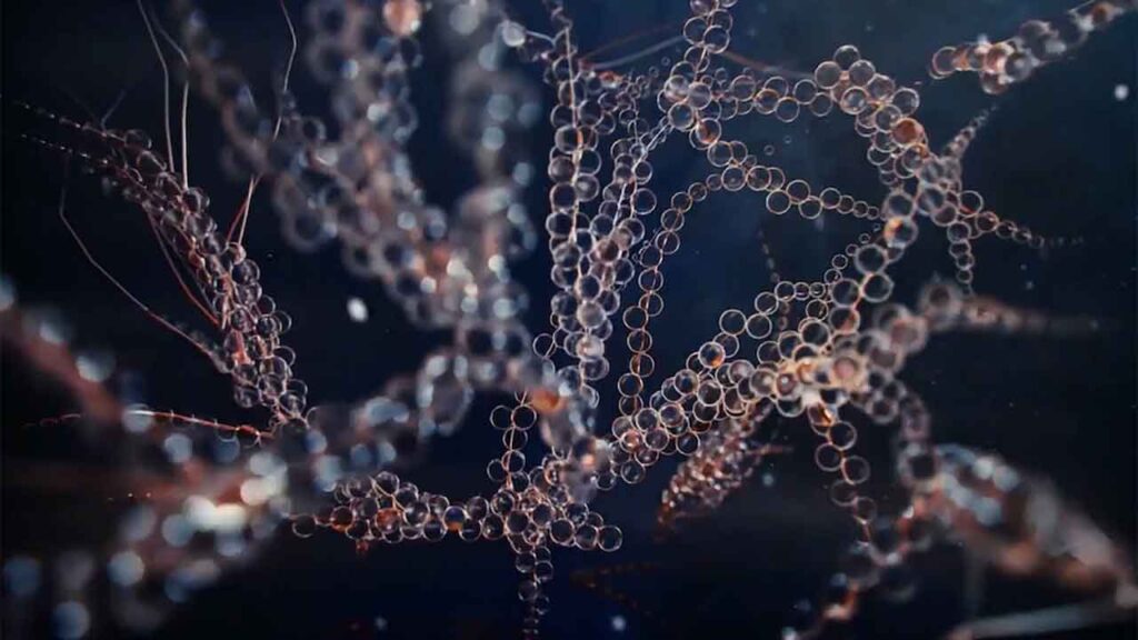 موتور رندر redshift